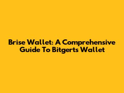 Brise Wallet: A Comprehensive Guide To Bitgert's Wallet
