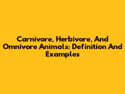 Carnivore, Herbivore, And Omnivore Animals: Definition And Examples
