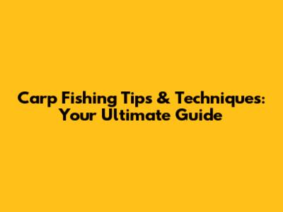 Carp Fishing Tips & Techniques: Your Ultimate Guide