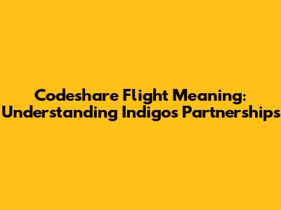 Codeshare Flight Meaning: Understanding Indigo's Partnerships