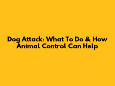 Dog Attack: What To Do & How Animal Control Can Help