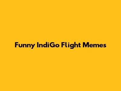 Funny IndiGo Flight Memes