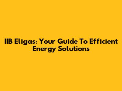 IIB Eligas: Your Guide To Efficient Energy Solutions