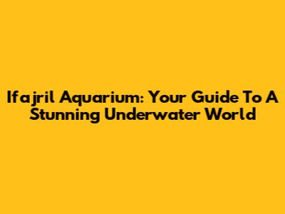 Ifajril Aquarium: Your Guide To A Stunning Underwater World