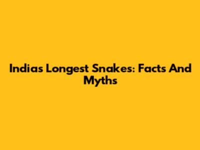 India's Longest Snakes: Facts And Myths