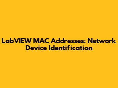 LabVIEW MAC Addresses: Network Device Identification
