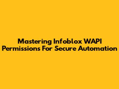 Mastering Infoblox WAPI Permissions For Secure Automation