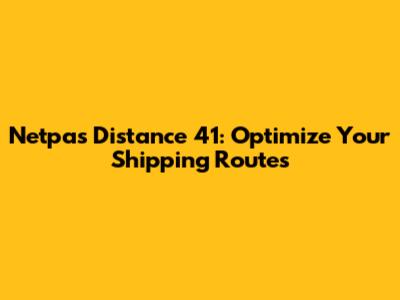 Netpas Distance 41: Optimize Your Shipping Routes
