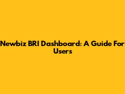 Newbiz BRI Dashboard: A Guide For Users