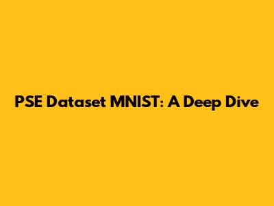 PSE Dataset MNIST: A Deep Dive