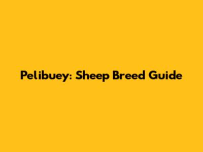 Pelibuey: Sheep Breed Guide