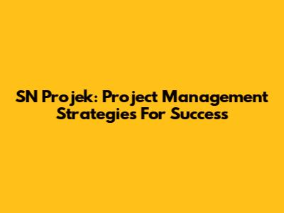 SN Projek: Project Management Strategies For Success