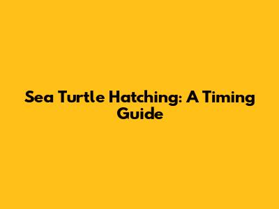 Sea Turtle Hatching: A Timing Guide