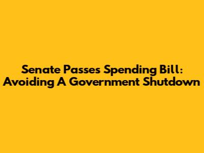 Senate Passes Spending Bill: Avoiding A Government Shutdown