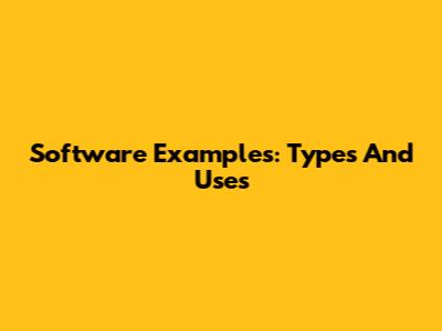 Software Examples: Types And Uses