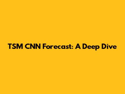 TSM CNN Forecast: A Deep Dive