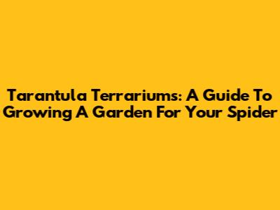 Tarantula Terrariums: A Guide To Growing A Garden For Your Spider