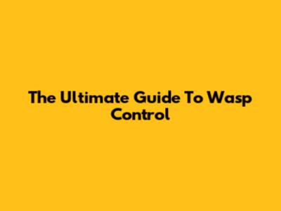 The Ultimate Guide To Wasp Control