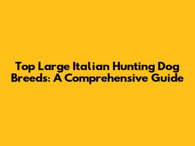 Top Large Italian Hunting Dog Breeds: A Comprehensive Guide