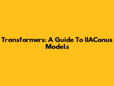 Transformers: A Guide To IIAConus Models