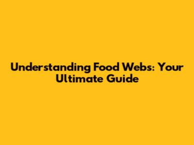 Understanding Food Webs: Your Ultimate Guide