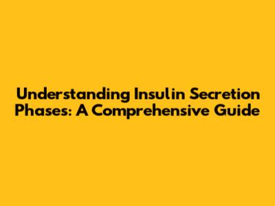 Understanding Insulin Secretion Phases: A Comprehensive Guide