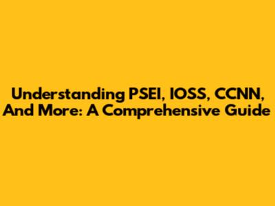 Understanding PSEI, IOSS, CCNN, And More: A Comprehensive Guide