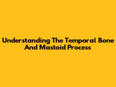 Understanding The Temporal Bone And Mastoid Process