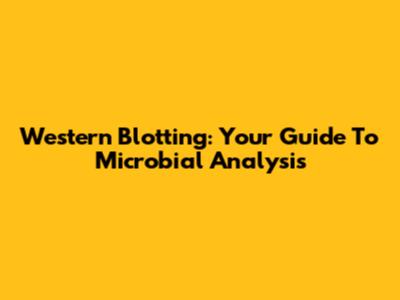 Western Blotting: Your Guide To Microbial Analysis